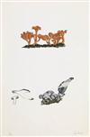 JOHN CAGE The Mushroom Book.